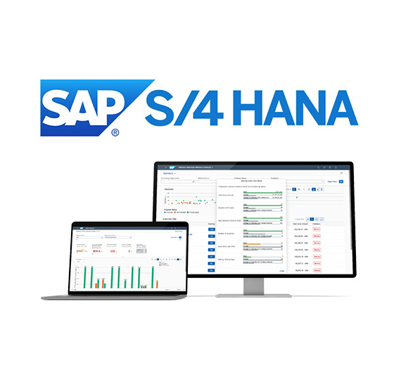 SAP S/4 - HANA
